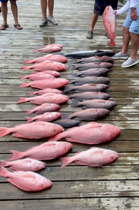 Snapper Blast In South Louisiana 